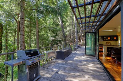 Secluded 'Green' Award-Winning Contemporary Lakefront Home