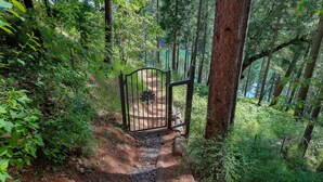 A forested trail leading to a gated entrance.