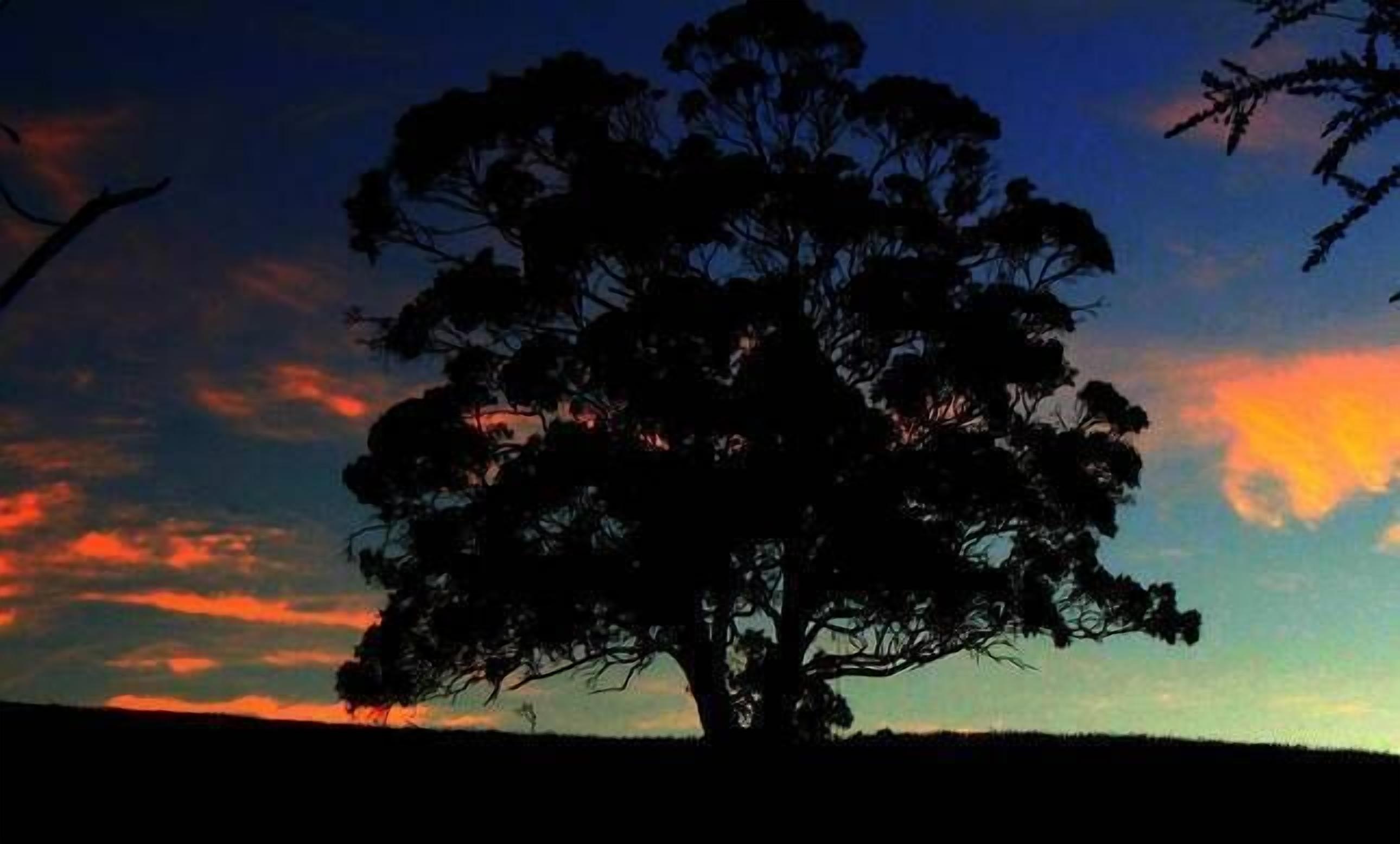 Beachbreaks StudioMarion Bay.  — image 15
