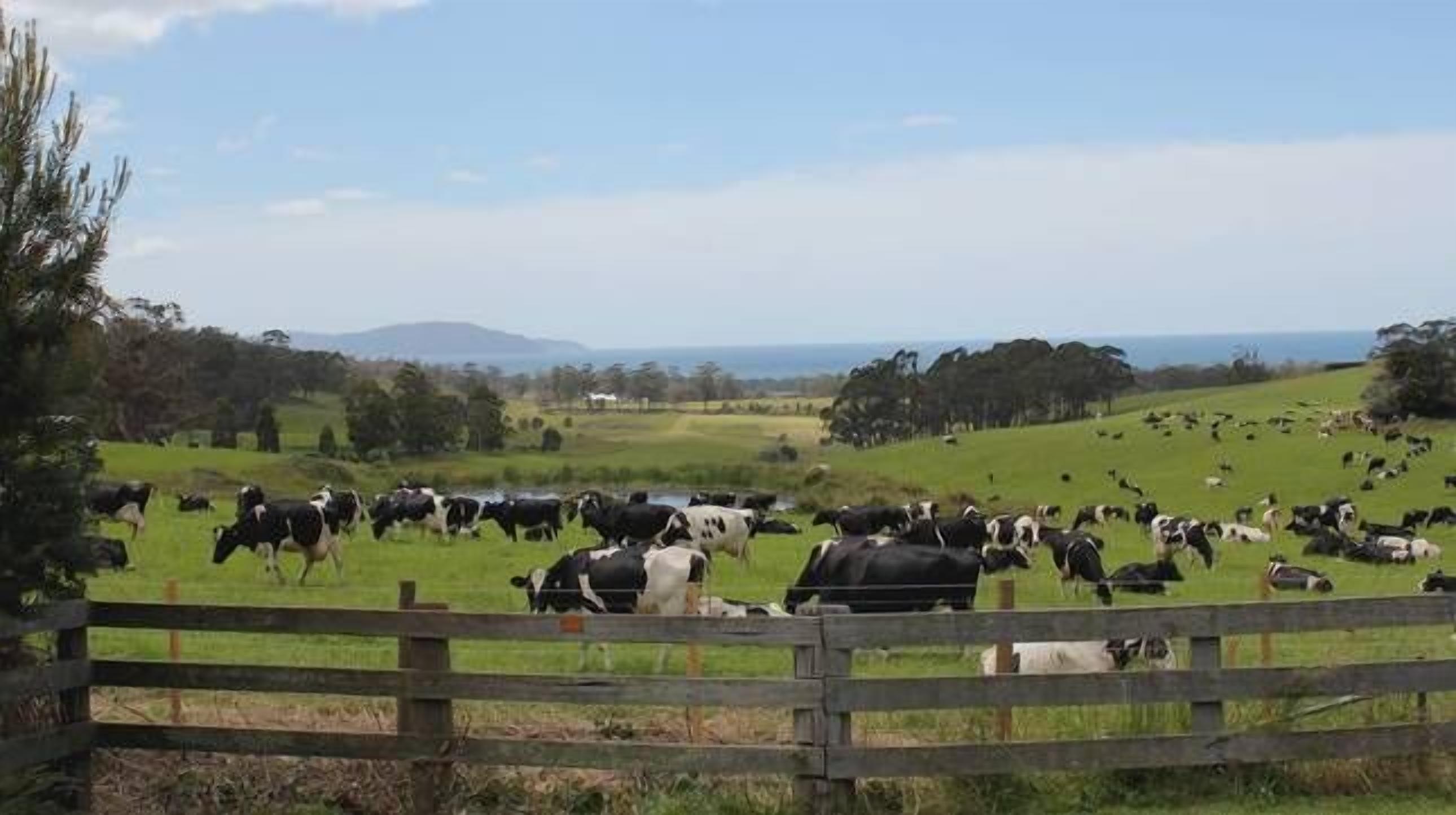 Beachbreaks StudioMarion Bay.  — image 17