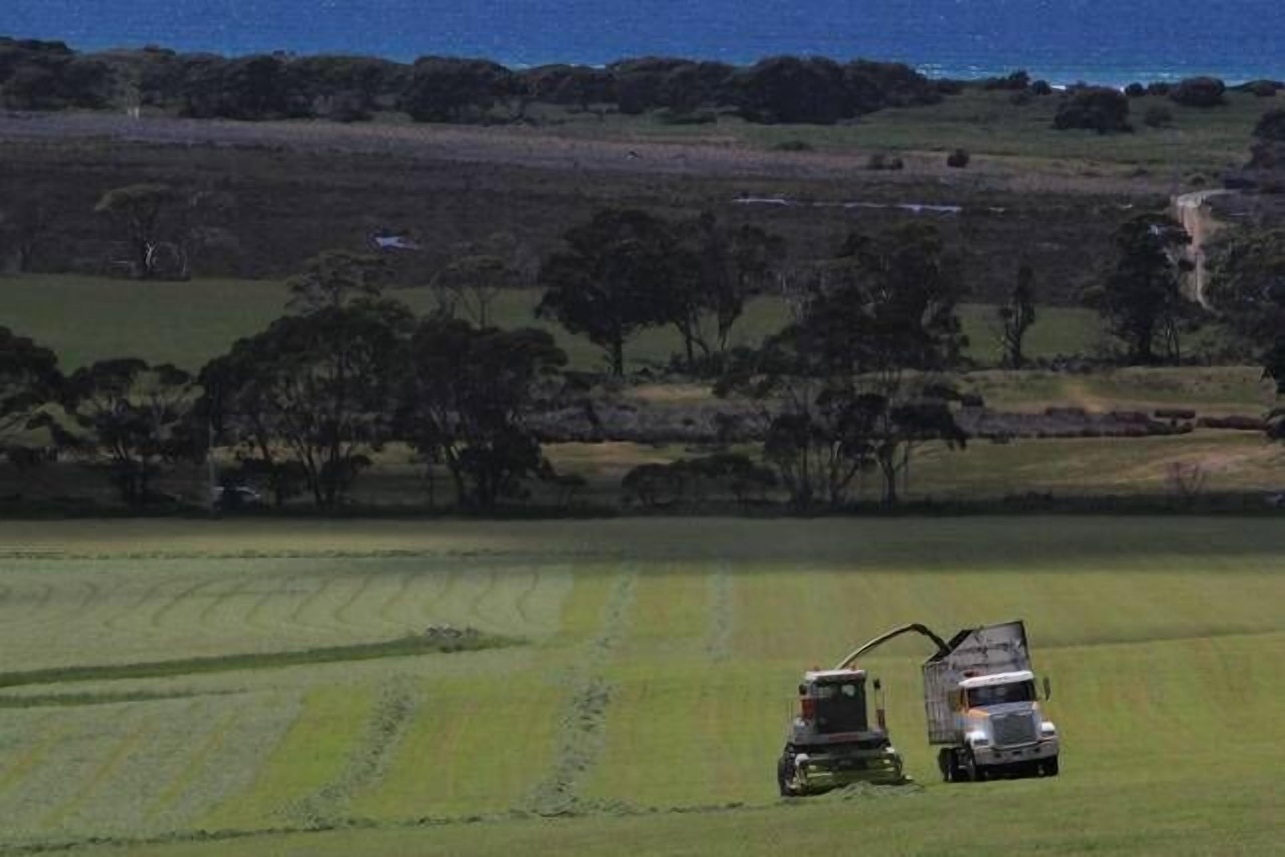Beachbreaks StudioMarion Bay.  — image 5