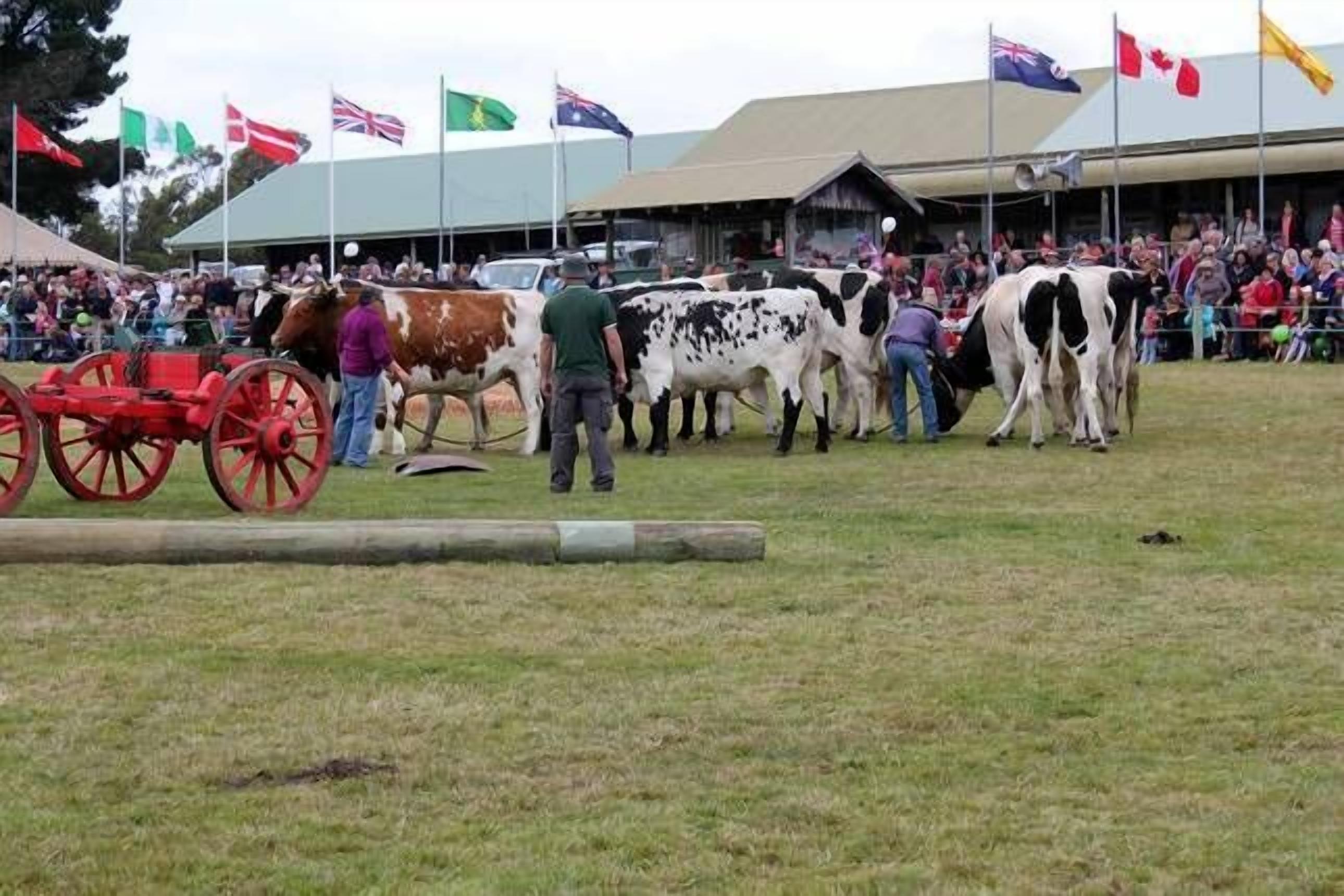 Beachbreaks StudioMarion Bay.  — image 12