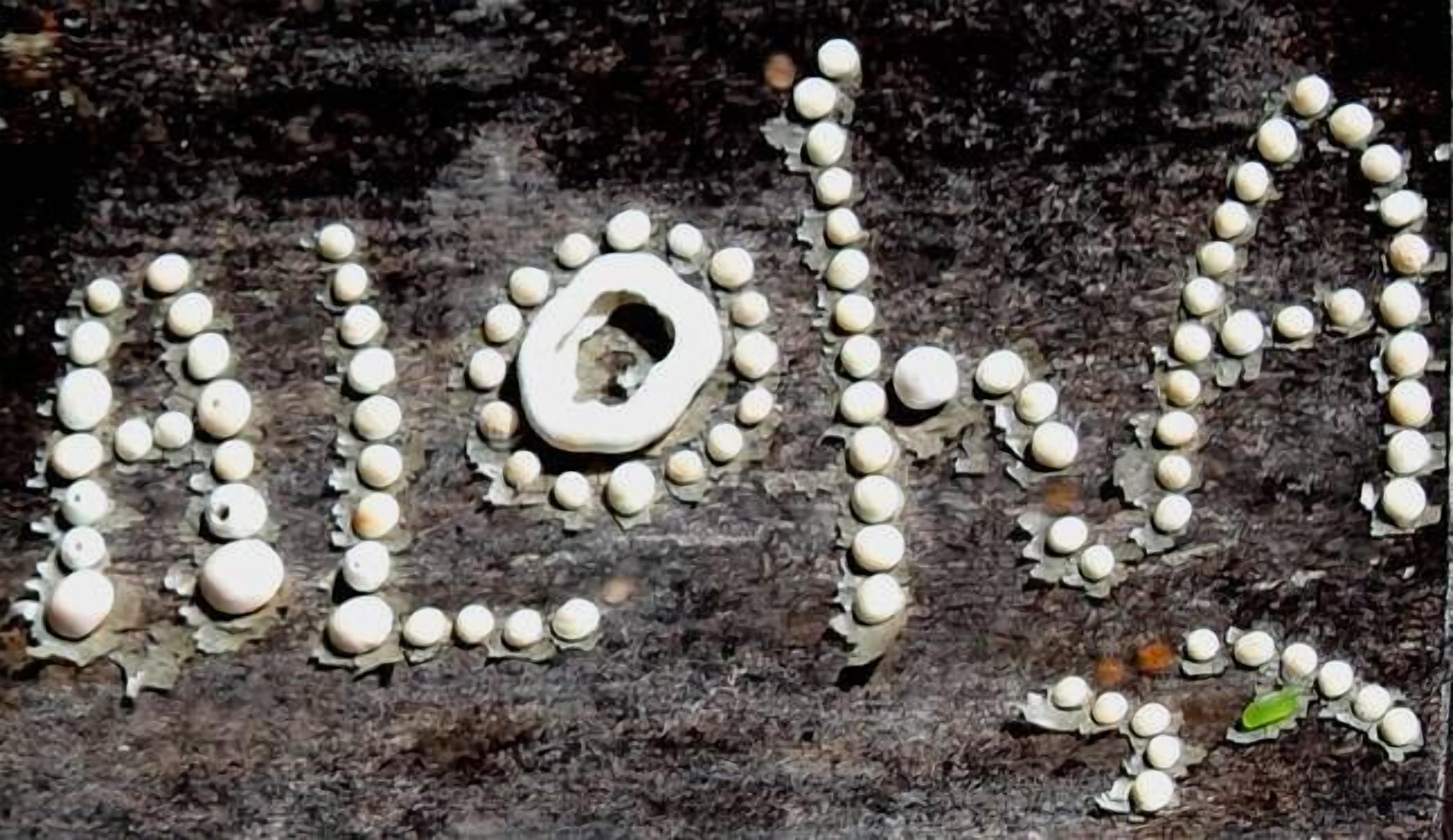 Beachbreaks StudioMarion Bay.  — image 2