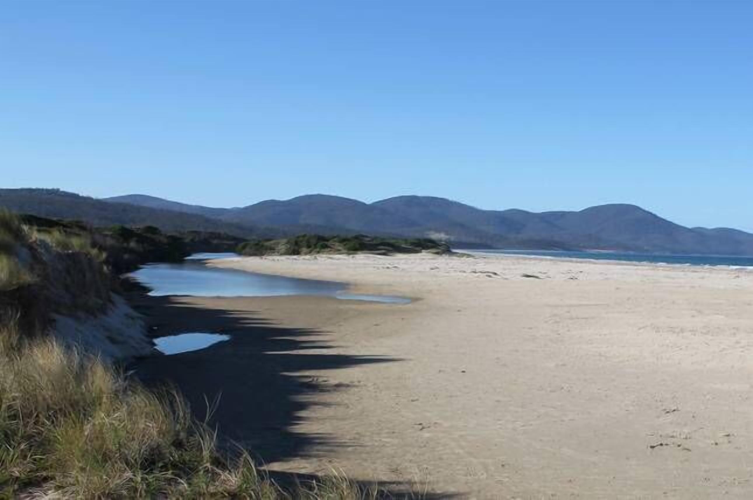 Beachbreaks StudioMarion Bay.  — image 16