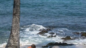 A beach scene with a person sitting near a palm tree, a boat in the distance, and waves crashing onto the shore.