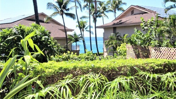 A resort with two buildings, a lush garden, and a view of the ocean.