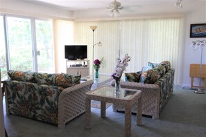 Fernseher, DVD-Player