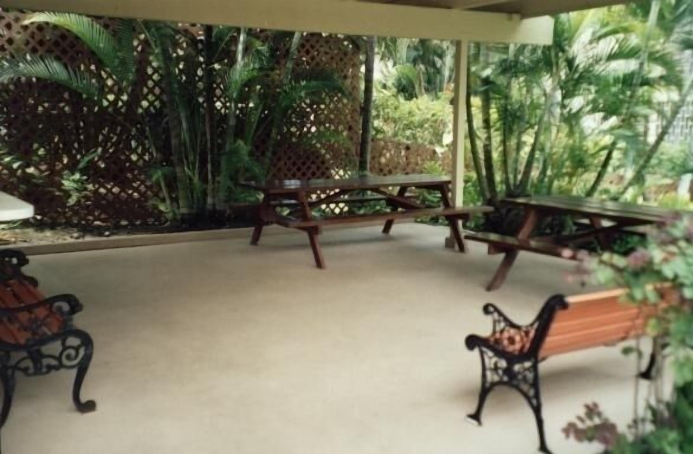 An outdoor patio area with wooden benches and tables, surrounded by dense tropical foliage.