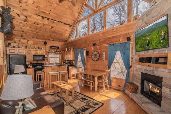 Televisión, chimenea, videojuegos y reproductor de DVD 