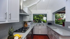 A modern kitchen with white cabinets, a gas stove, and a window with a view of greenery.