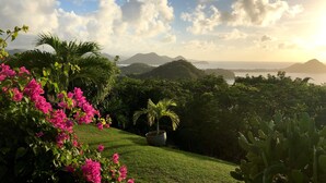 A lush garden with vibrant pink flowers, a palm tree, and a view of distant mountains and a body of water. - Villa Albatross Nest with Stunning Panoramic Sea View (Gros Islet)