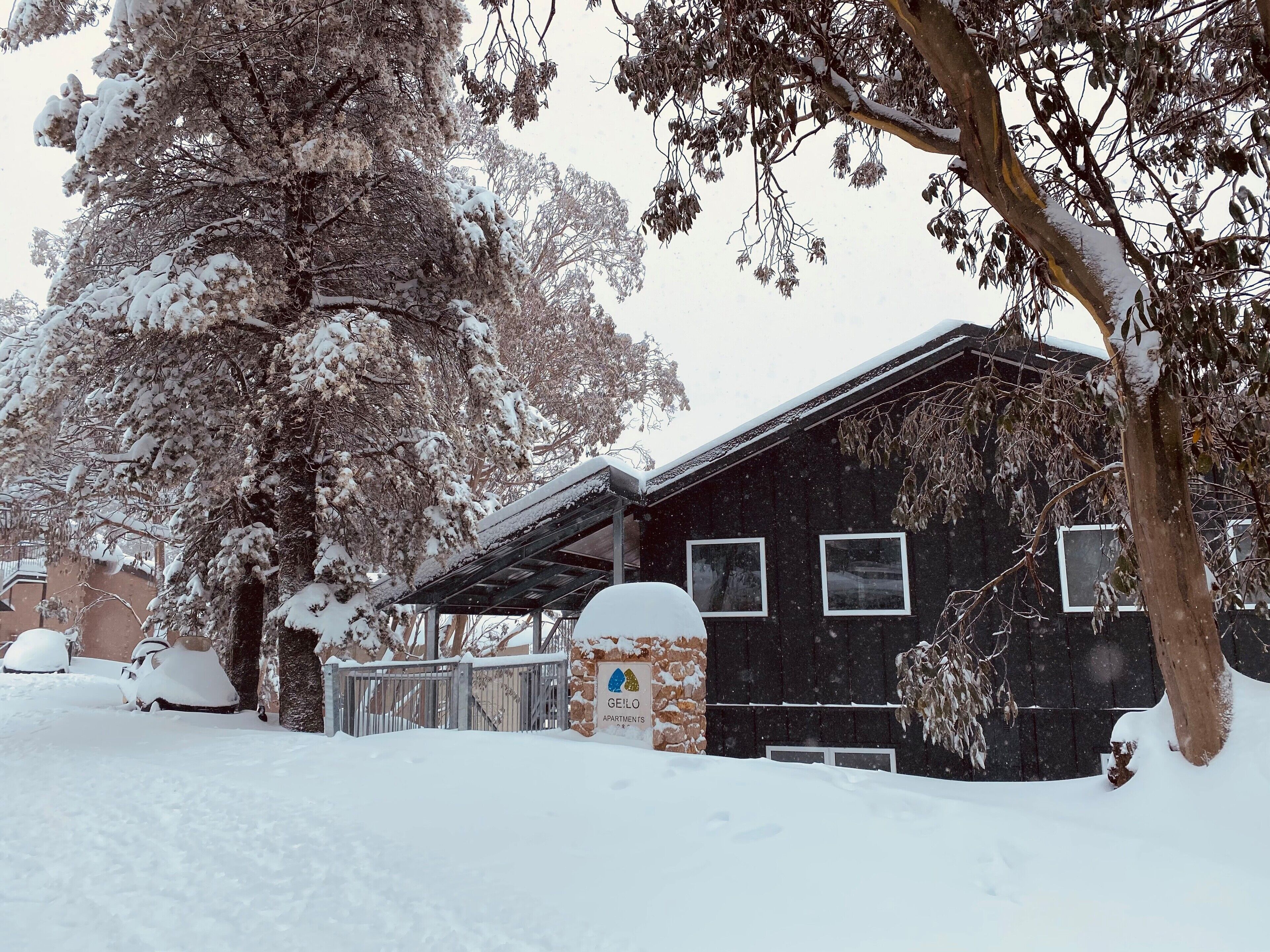 Modern ski in ski out — image 13