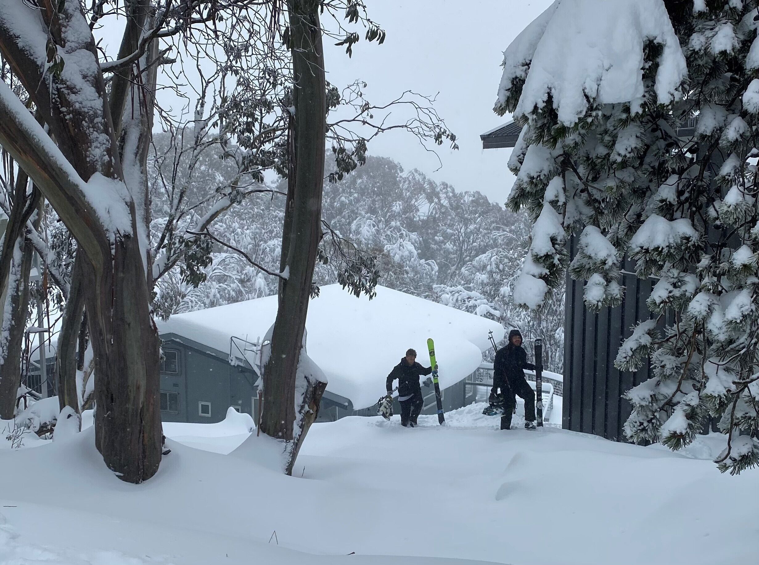 Modern ski in ski out — image 14