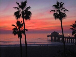 A beach scene with palm trees and a pier with lights at dusk. - Experience it all! Enjoy the beach, pool, & spa in a family friendly atmosphere. (Manhattan Beach)