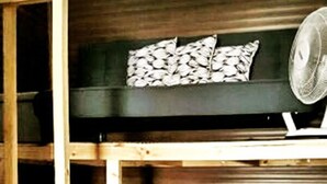 A bunk bed with a ladder, a pillow with a leaf pattern, and a fan on the upper bunk. - Hostel Trotamundos (Alajuela)