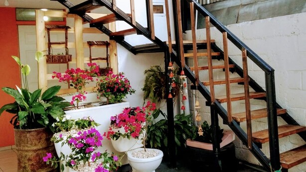 A staircase with wooden steps and black railings, surrounded by potted plants and flowers. - Hostel Trotamundos (Alajuela)