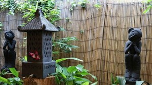 A garden with two statues, a bamboo fence, and lush greenery. - A Great Family Place in Henley Beach - Pets  ✅ opposite park stylish & comfy (Henley Beach)