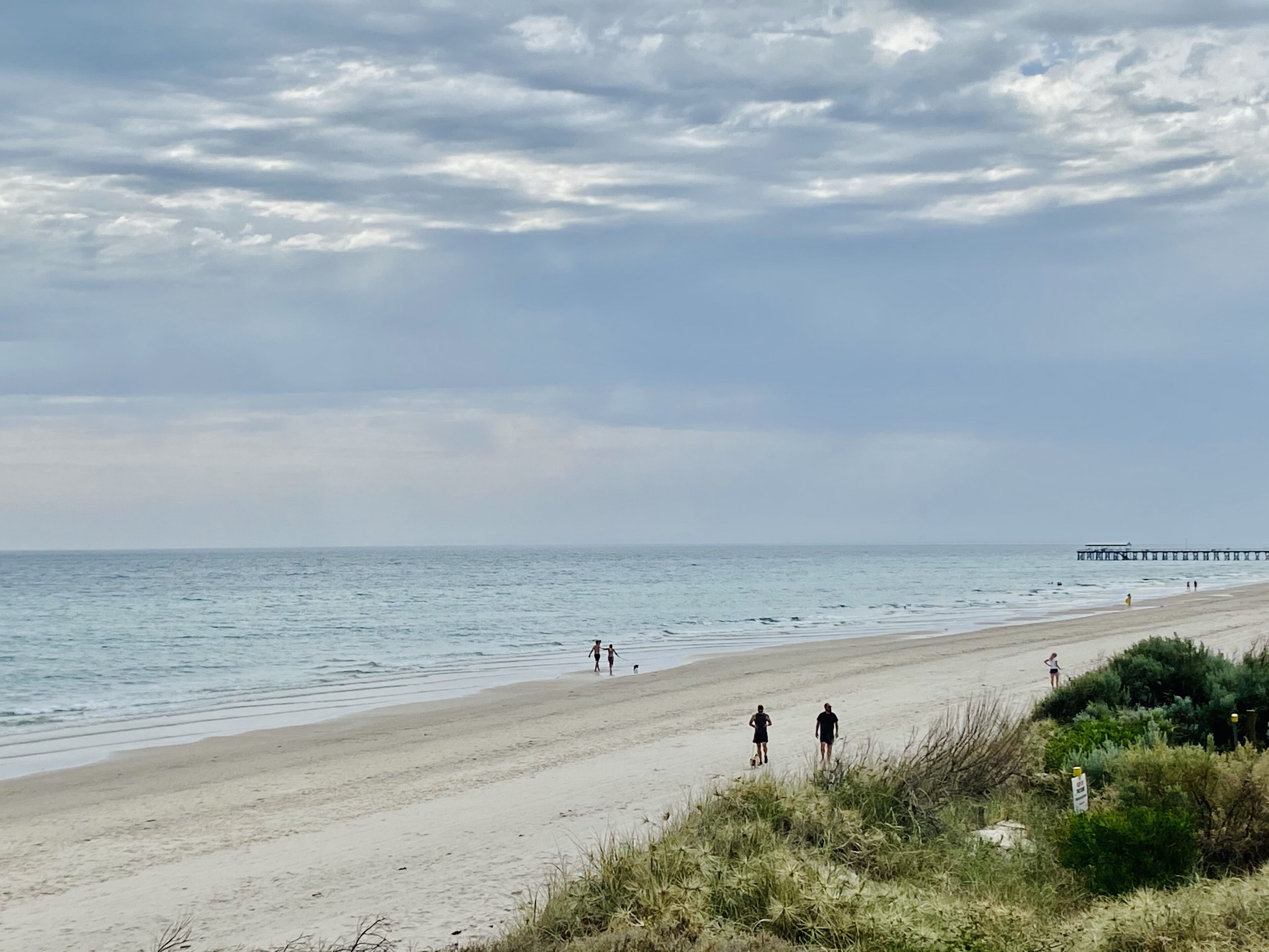 A Great Family Place in Henley Beach - Pets  ✅ opposite park stylish & comfy — image 22