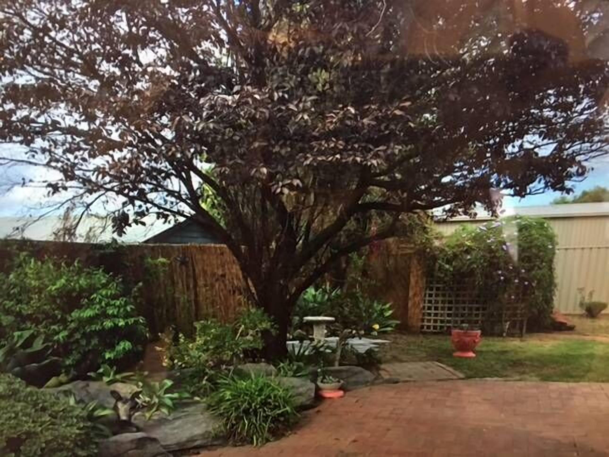 A Great Family Place in Henley Beach - Pets  ✅ opposite park stylish & comfy — image 26