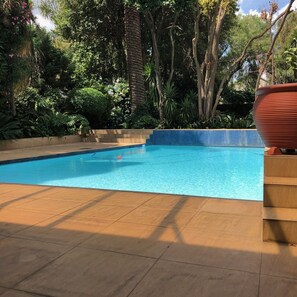 Pool - Luxury Executive Apartment Overlooking Beautiful Pool & Garden (Bedfordview)