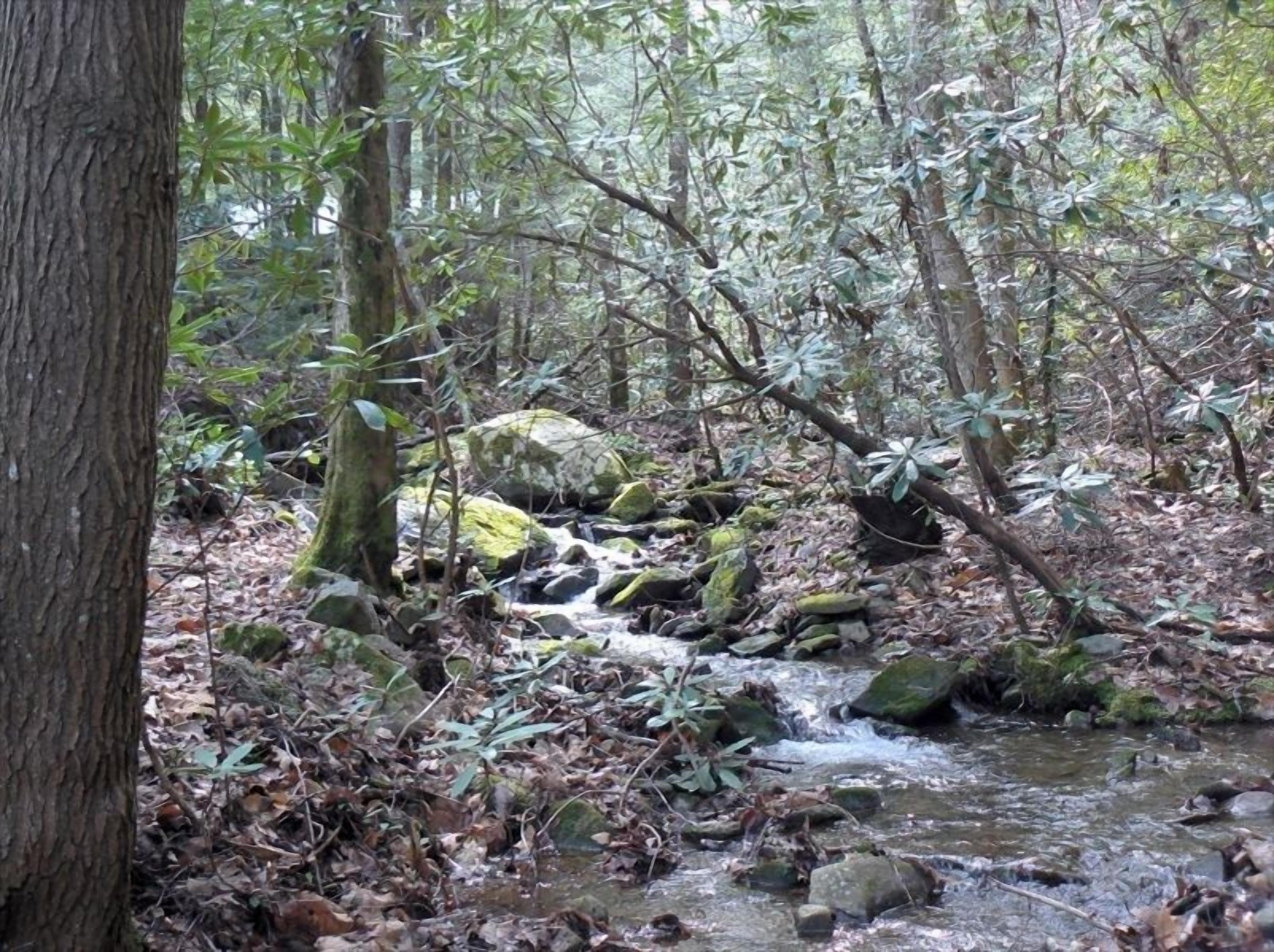 Relax in Seclusion at the 'Cozy Creekside Lodge' with Creekfront Sleeping Porch