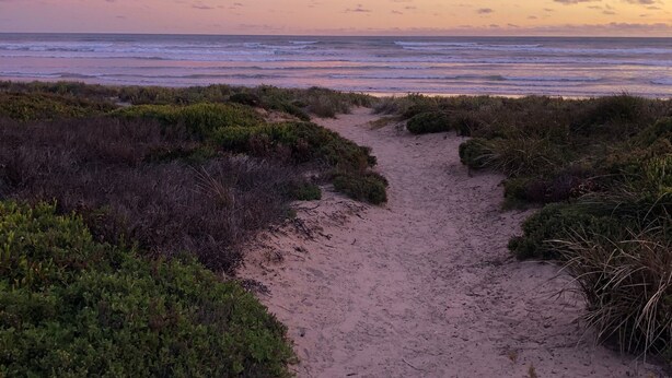 A sandy path leading to the ocean with vegetation on either side.