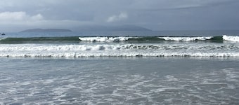 Peaceful beach retreat, close to cafe, bakery, bistro, shop & only 30 min Hobart