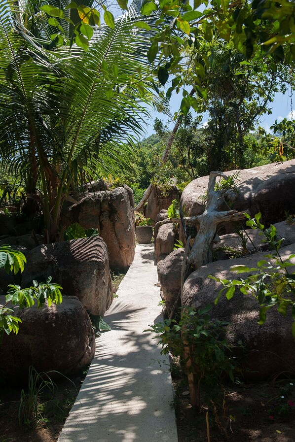 Un sendero rodeado de grandes rocas y exuberante vegetación.