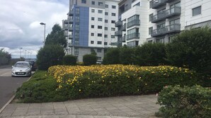 A modern apartment building with multiple balconies and a landscaped garden with yellow flowers. - Providing Stylish City Living within the vibrant shore area (Edinburgh)