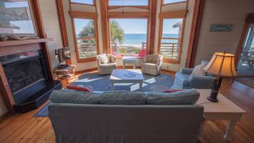 Télévision, cheminée, lecteur de DVD, livres