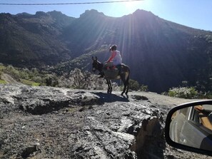 Explore the rugged terrain on horseback, with breathtaking views of the surrounding mountains.