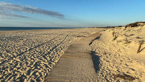 Ein Sandstrand mit einem hölzernen Steg, der zu Dünen führt.