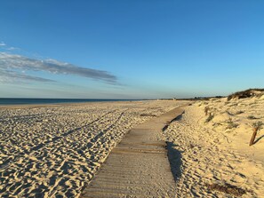 Une plage de sable avec une promenade en bois menant à des dunes.