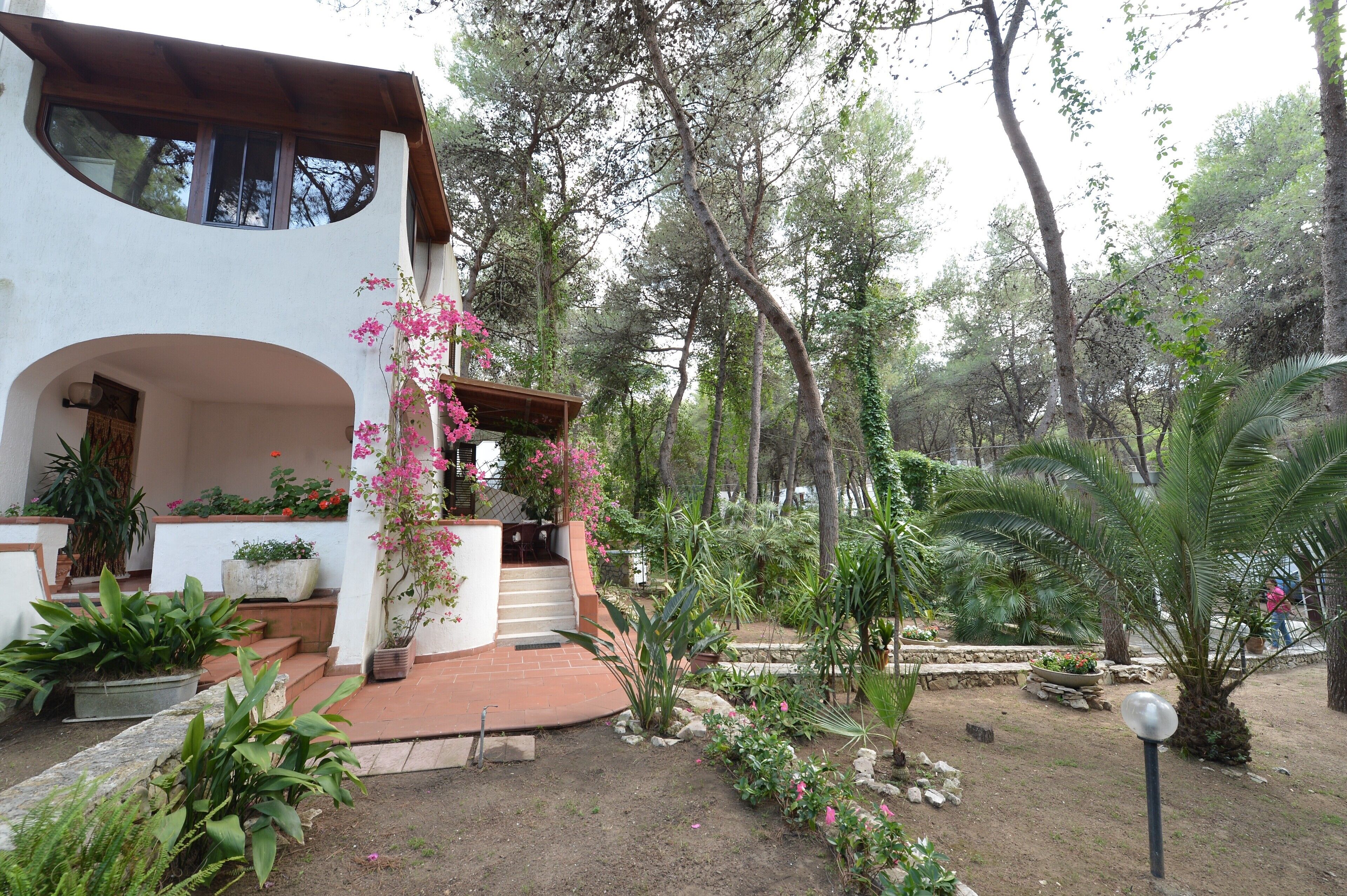 Une maison à deux étages dotée d’un patio, entourée d’une végétation luxuriante et d’arbres.