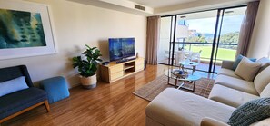 Smart TV, DVD player