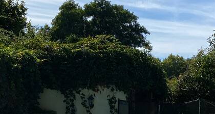 Estancias de 10 días disponibles para julio / agosto de 2020 o 10% de descuento en reservas de 2 semanas.