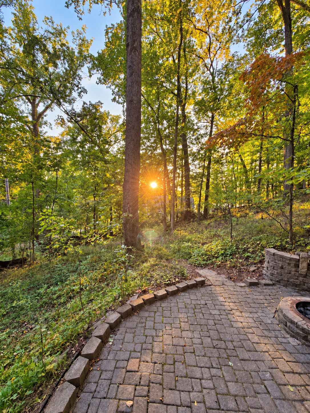 A paved pathway in a forested area with sunlight filtering through the trees.