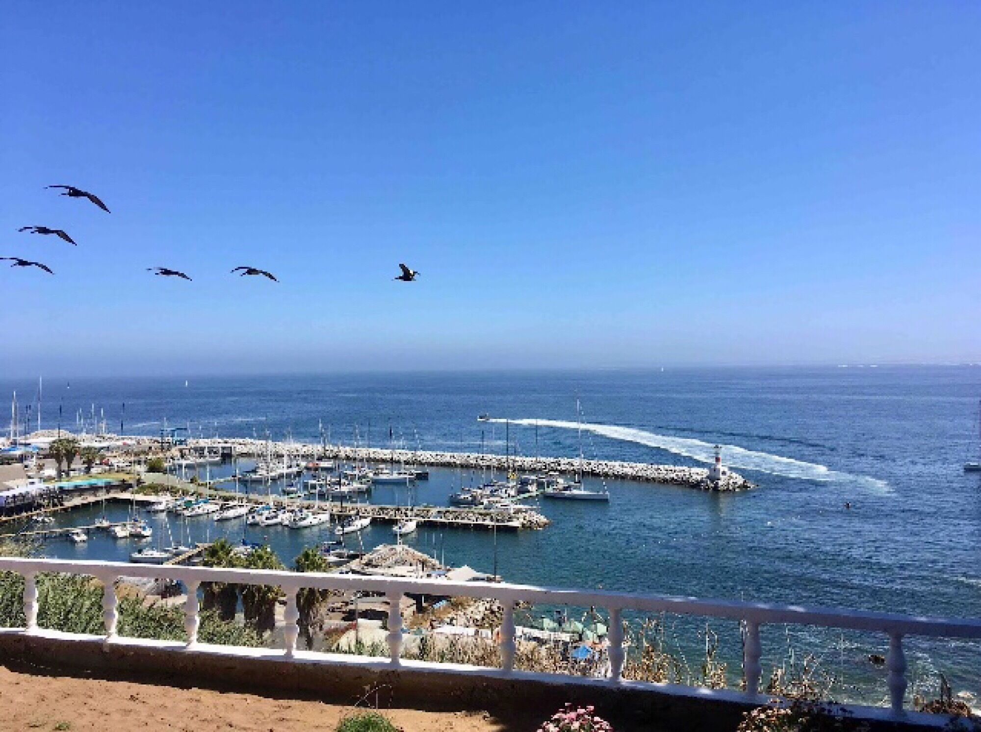 Accommodation Don't Forget Me ... Forever 11<br>