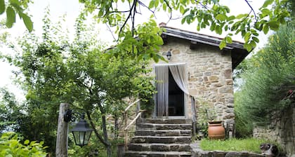 Fabulous Farmhouse on the Mugellane Hills near Florence. Feel the nature