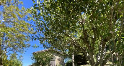 Fabulous Farmhouse on the Mugellane Hills near Florence. Feel the nature