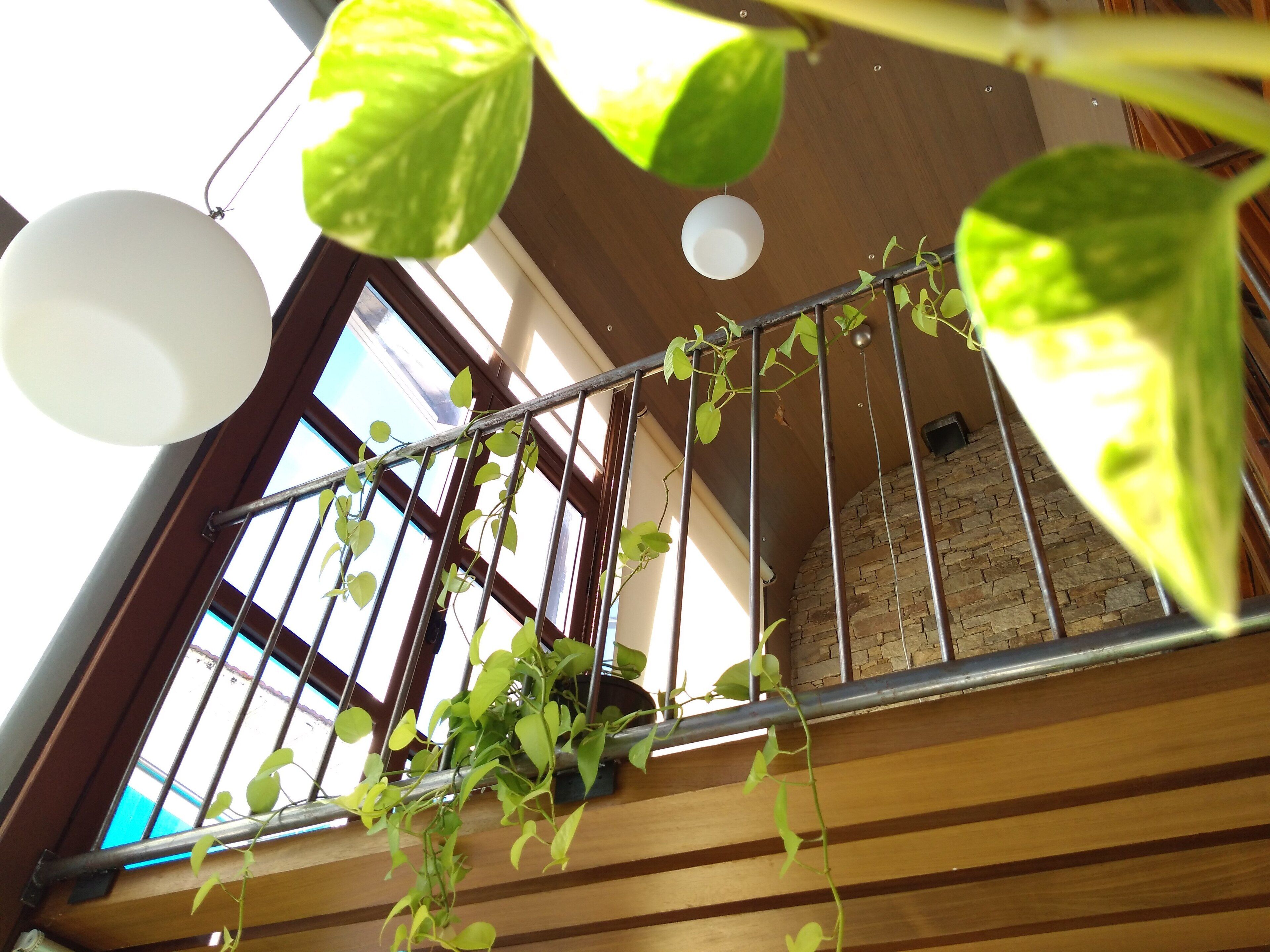 Riad Navaluenga. Luxury in nature