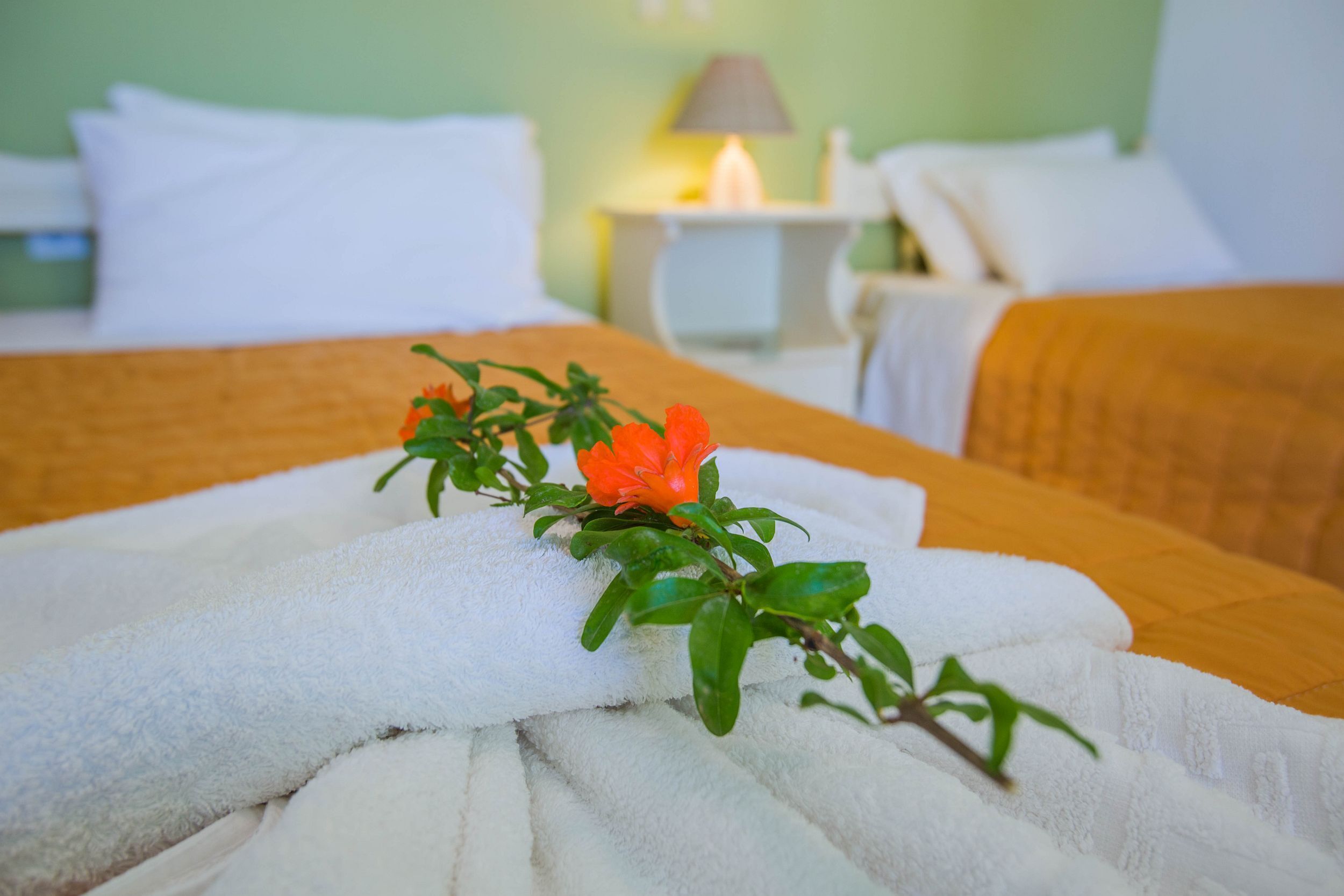 Ammos Apartments - Marinos 2 bedroom apartment