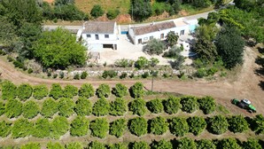 A large, single-story building with a tiled roof, surrounded by a well-maintained garden and a vineyard. - Quinta Do Pomarinho 46328/AL  (Tavira)