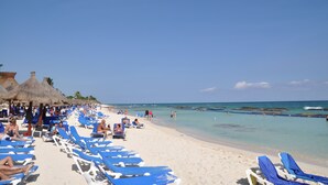 A beach with rows of blue lounge chairs and thatched umbrellas.