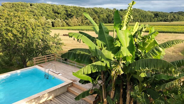 Une piscine dotée d’une terrasse en bois, entourée de bananiers et offrant une vue sur un paysage verdoyant et luxuriant.
