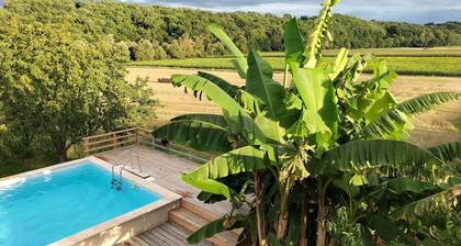 Gite for 5-8 people, swimming pool, absolute calm, panorama on the Pyrenees.