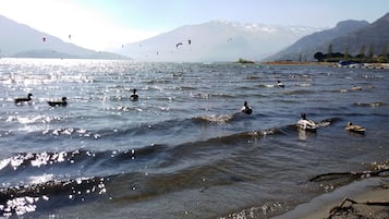 In Strandnähe