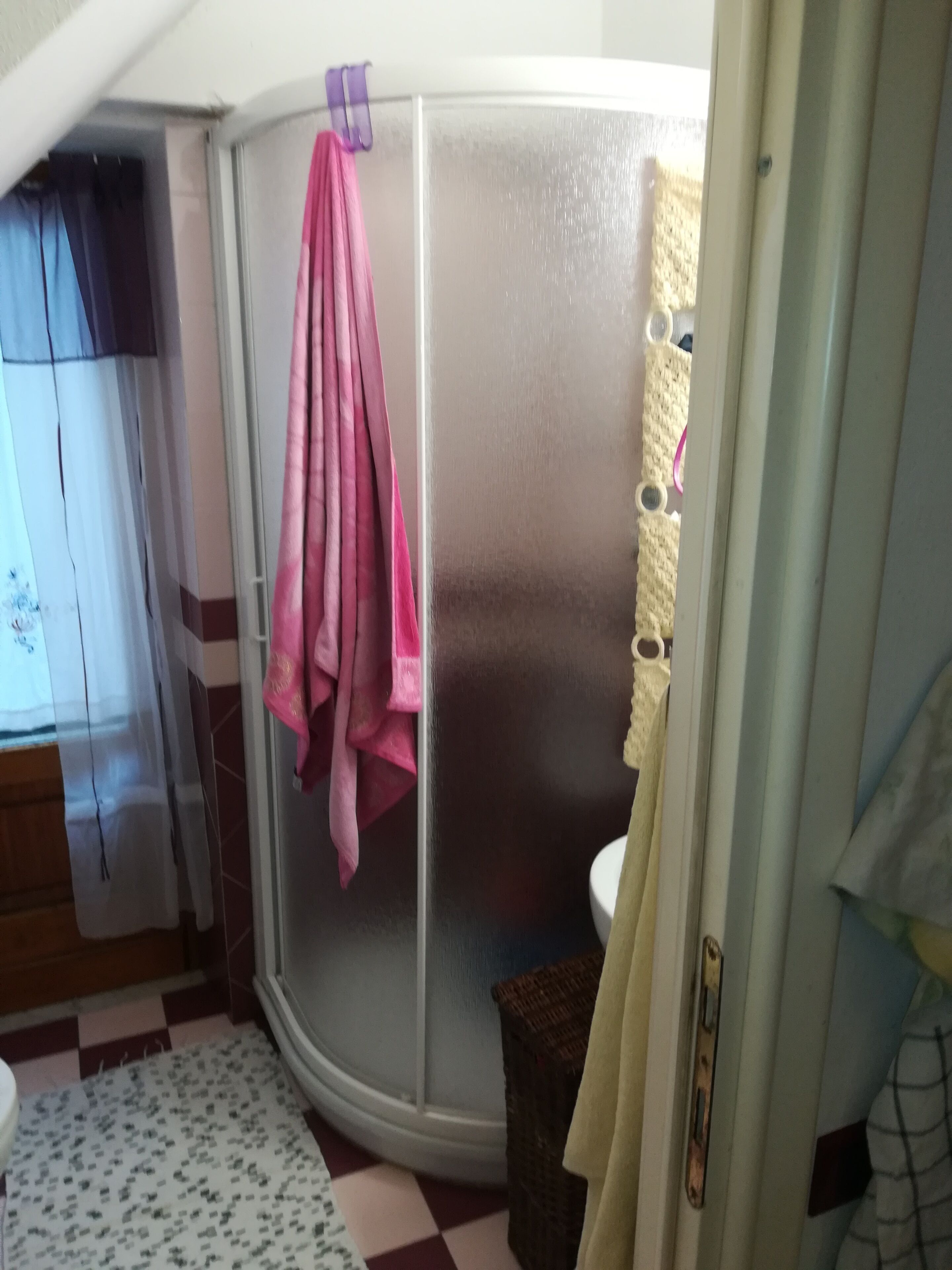 A bathroom with a shower enclosure, a toilet, and a patterned rug on the floor.