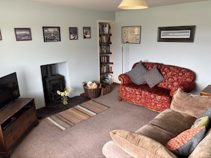 スマートテレビ、暖炉、DVD プレーヤー、書庫