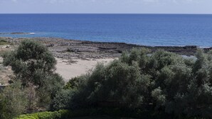 Paesaggio costiero con terreno roccioso, vegetazione fitta e vista aperta sull'oceano.